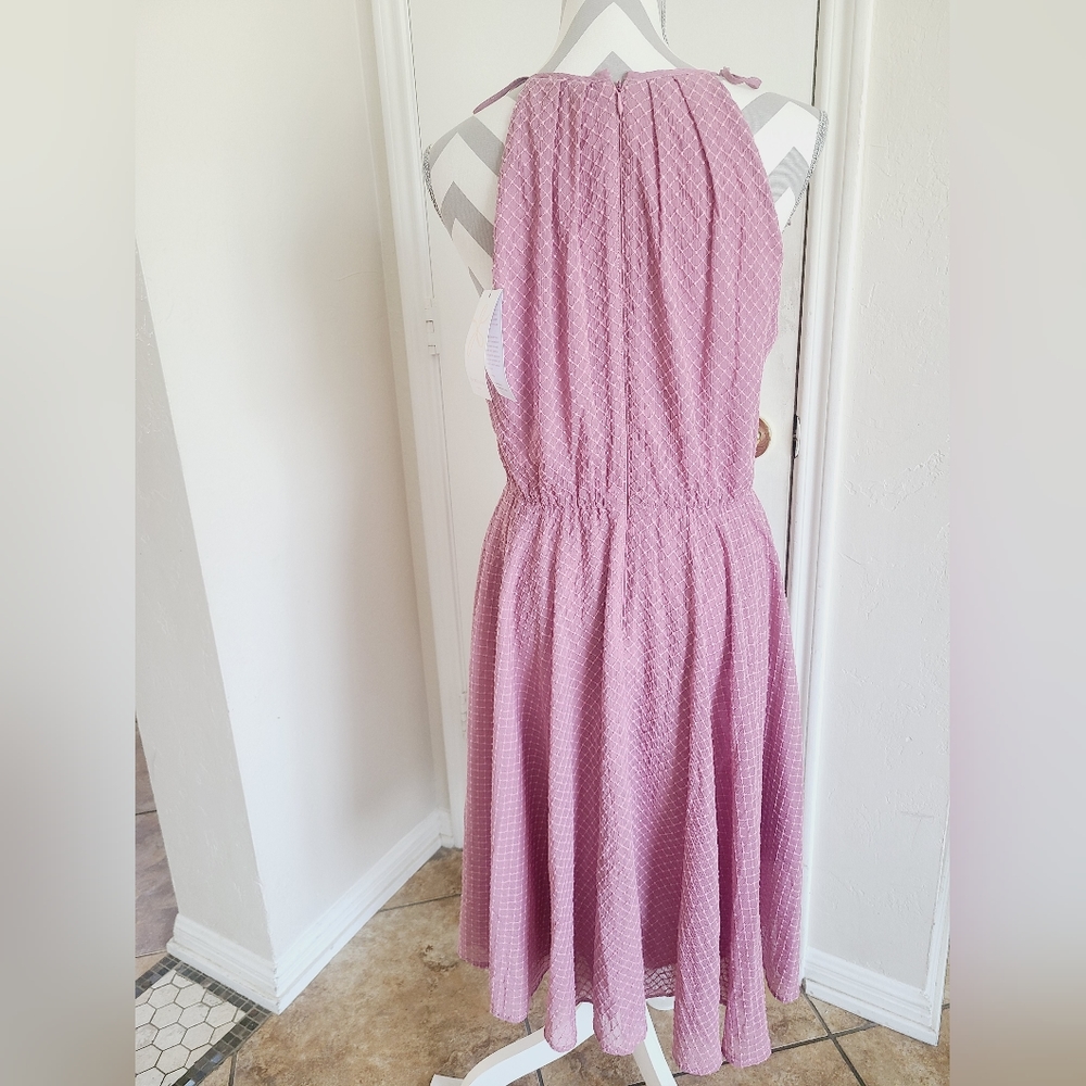𝅺gal Meets Glam Lenore Embroidered Chiffon Dress - Picture 9 of 10
